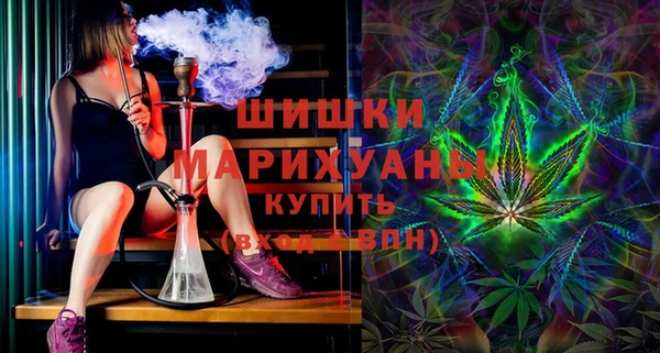 тгк Няндома