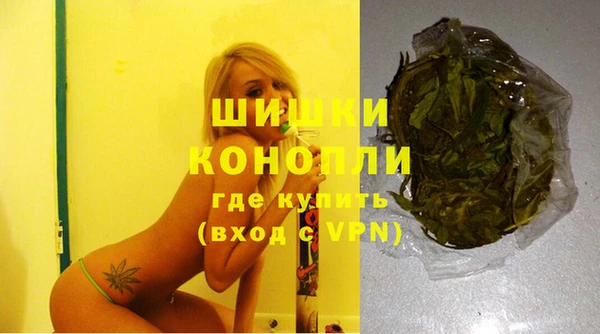 тгк Няндома