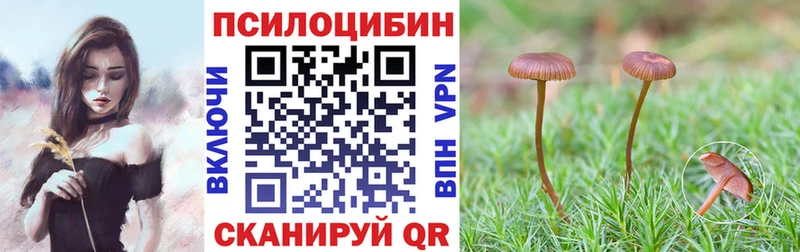 где можно купить наркотик  OMG ONION  Галлюциногенные грибы ЛСД  Ишимбай 