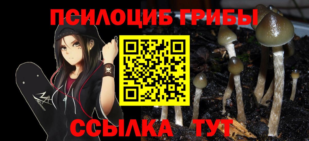 Псилоцибиновые грибы ЛСД  хочу наркоту  Ишимбай  Вход с VPN 