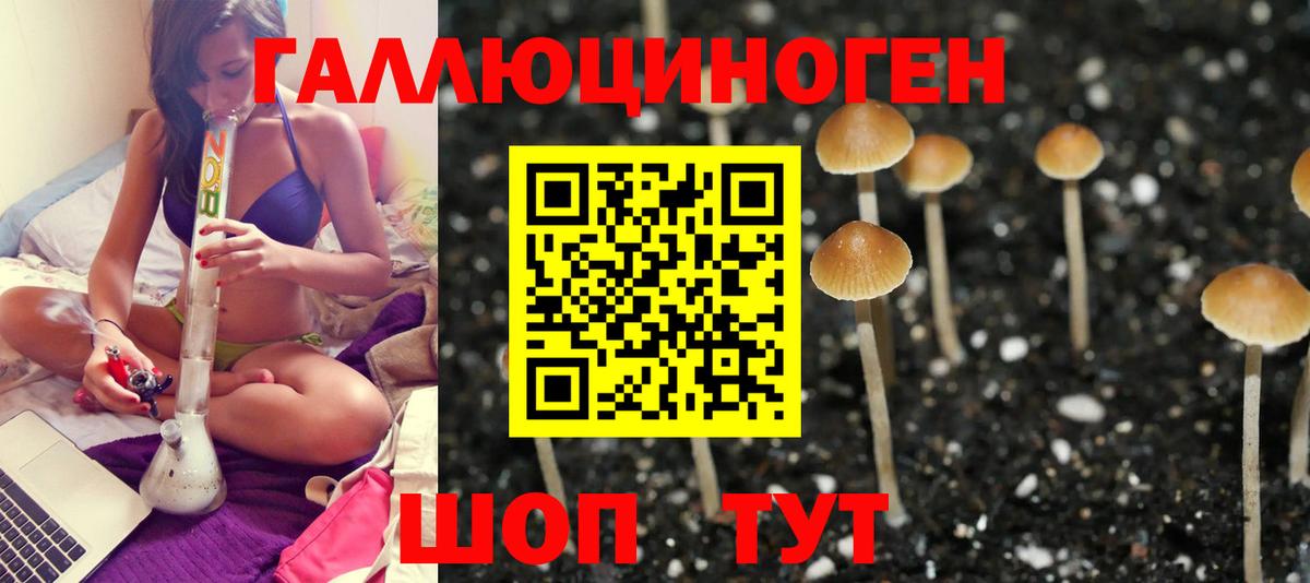 Псилоцибиновые грибы MAGIC MUSHROOMS Ишимбай